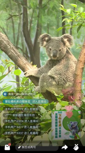 异瞳少年月入7200,治沙人的“绿色直播”火了